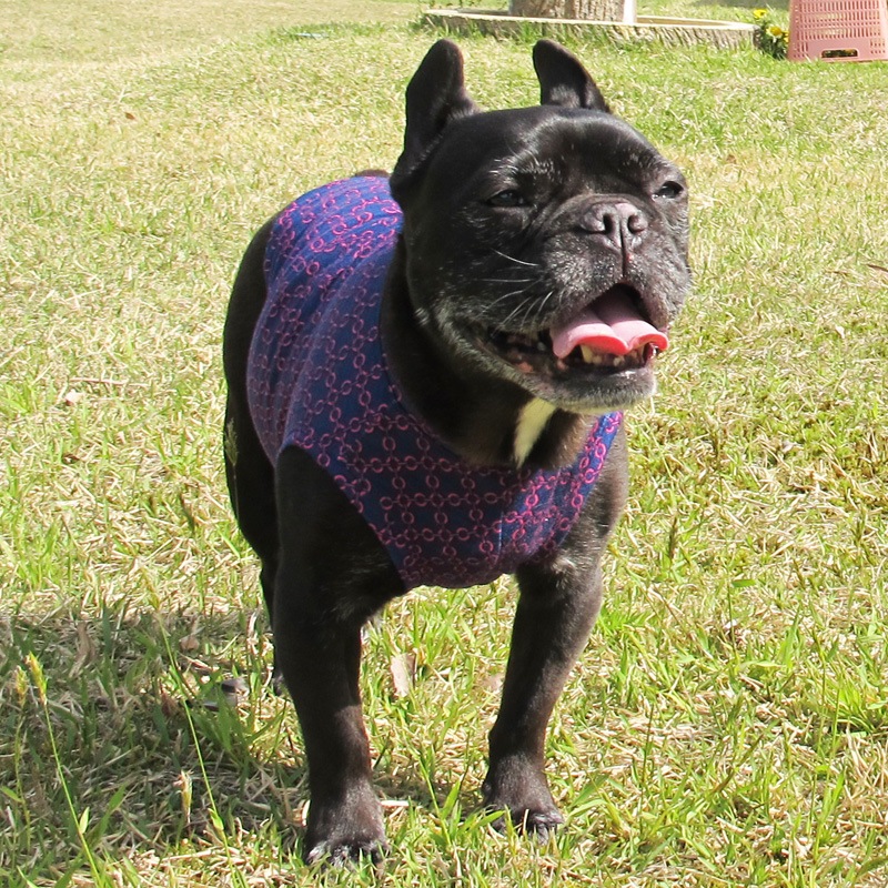 �������������󥯥ȥåס�T�����2��or���󥯥ȥå�1���T�����1��ϥ᡼���زġ�