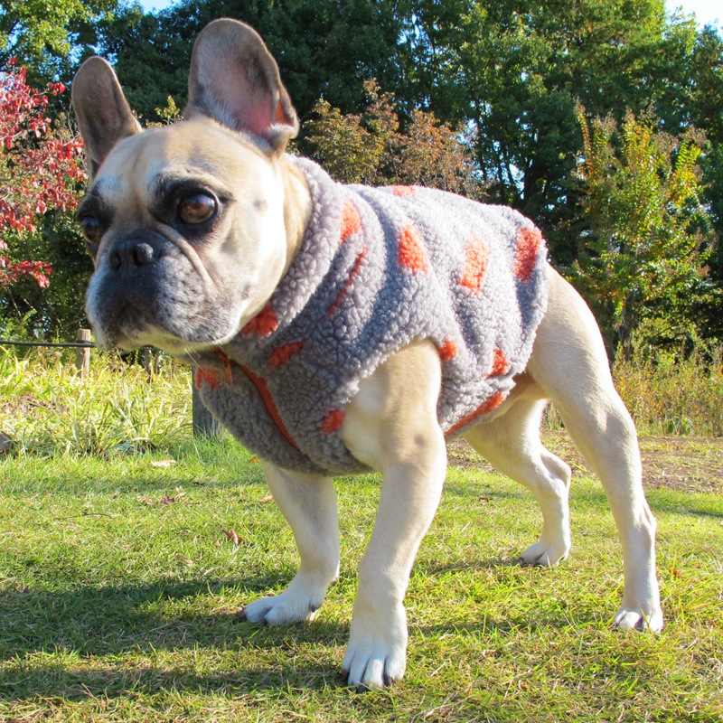 ⤳⤳ܥ٥ȡڥ᡼Բġ