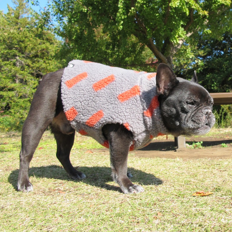 ⤳⤳ܥ٥ȡڥ᡼Բġ