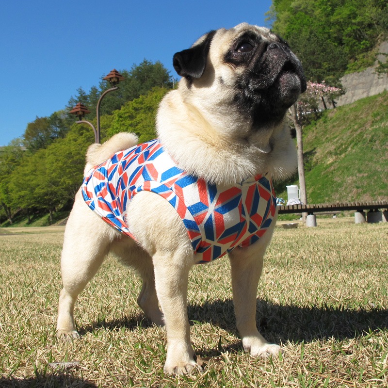 �С��С����󥯥ȥåס�T�����2��or���󥯥ȥå�1���T�����1��ϥ᡼���زġ�