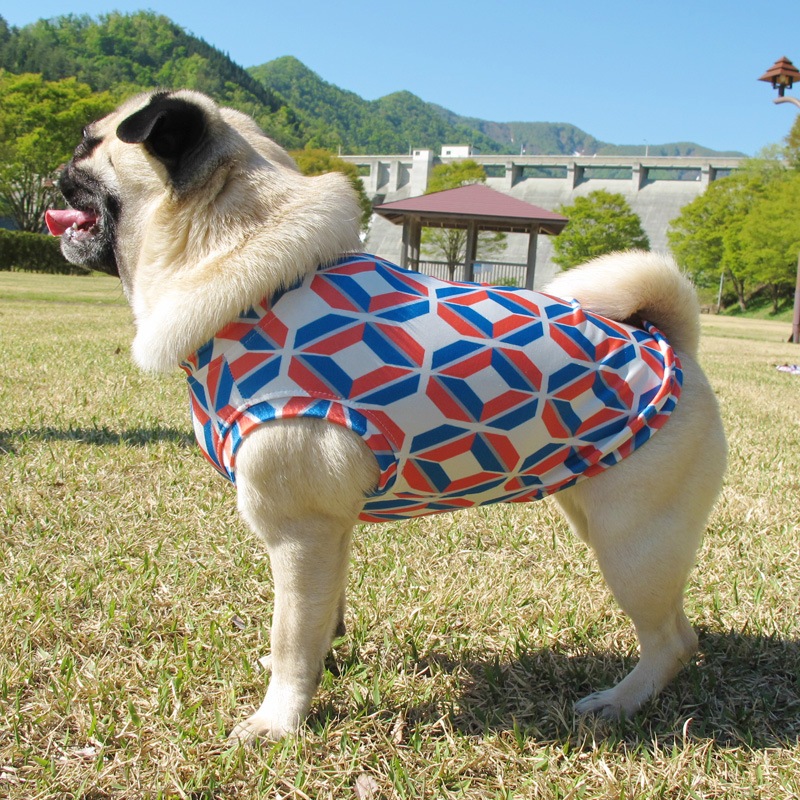 �С��С����󥯥ȥåס�T�����2��or���󥯥ȥå�1���T�����1��ϥ᡼���زġ�