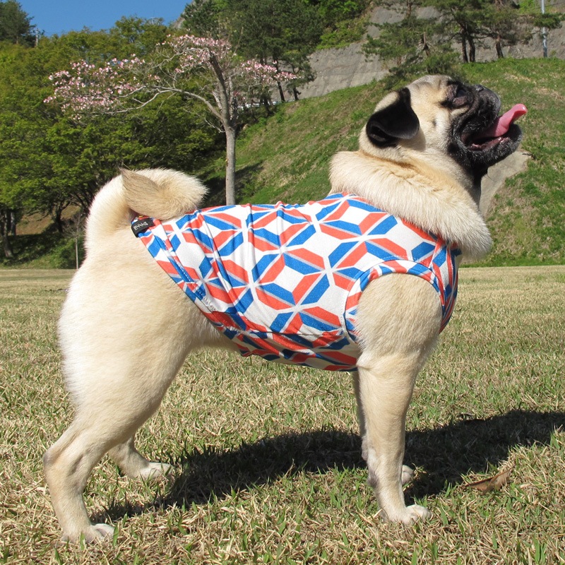 �С��С����󥯥ȥåס�T�����2��or���󥯥ȥå�1���T�����1��ϥ᡼���زġ�