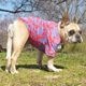 ����Υ֥롼������T����ġ�T�����2��or���󥯥ȥå�1���T�����1��ϥ᡼���زġ�