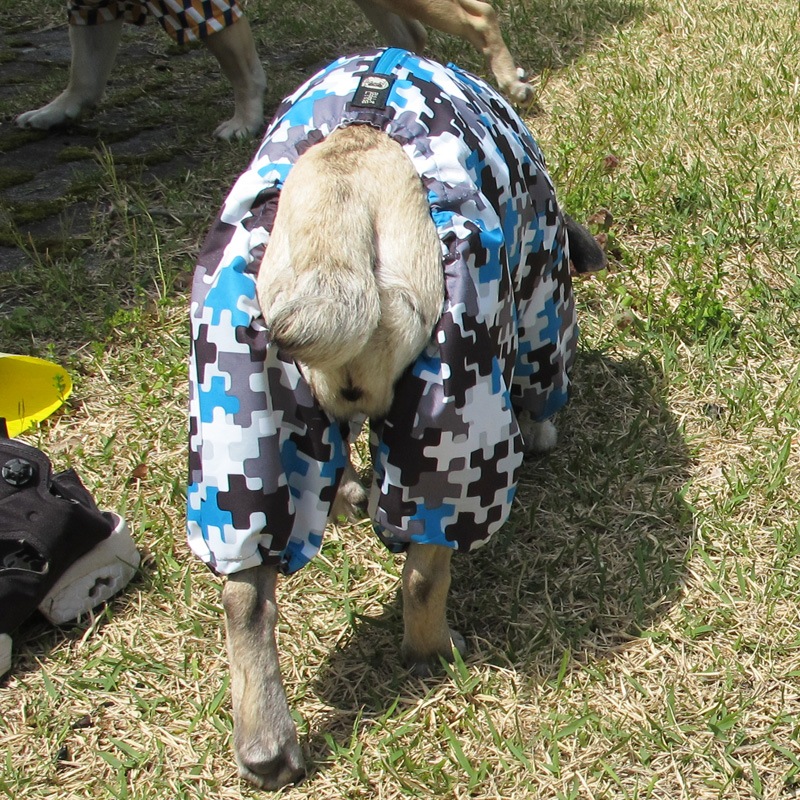 �Ĥ�S�������Τߡ��ѥ������쥤�󥳡��ȡ����̡��ɥա��ɡ�ñ�ʥ᡼���ز�/���̡��ɥա��ɤȤ�Ʊ���᡼���زġ�