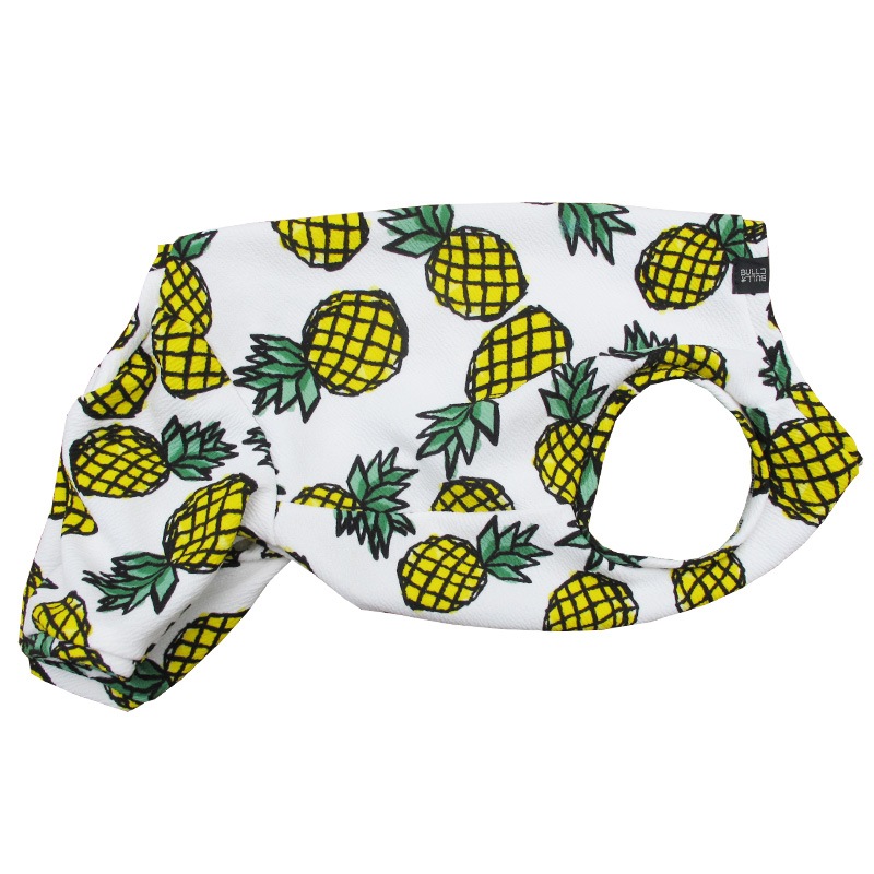 �Ƥ����ѥ��ʥåץ�����ƤĤʤ��ڲƤĤʤ�2��or�ƤĤʤ�1���T�����(����)1��ϥ᡼���زġ�