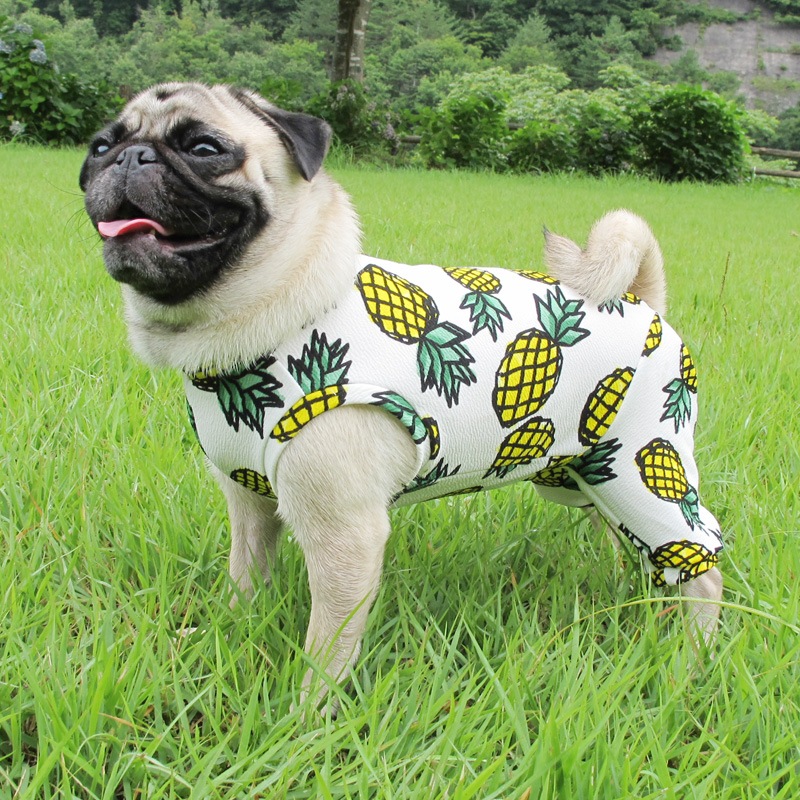 �Ƥ����ѥ��ʥåץ�����ƤĤʤ��ڲƤĤʤ�2��or�ƤĤʤ�1���T�����(����)1��ϥ᡼���زġ�