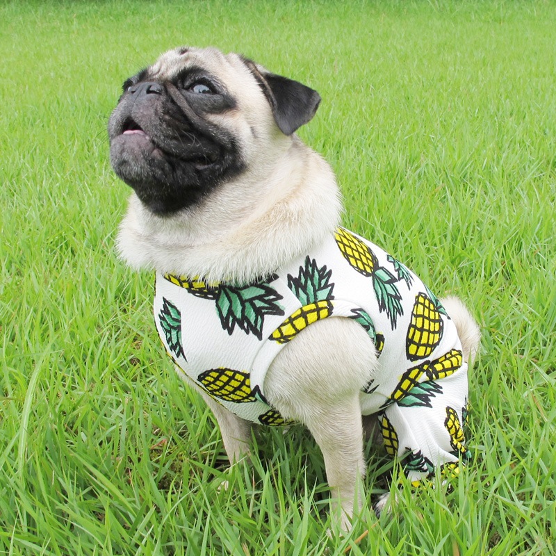 �Ƥ����ѥ��ʥåץ�����ƤĤʤ��ڲƤĤʤ�2��or�ƤĤʤ�1���T�����(����)1��ϥ᡼���زġ�