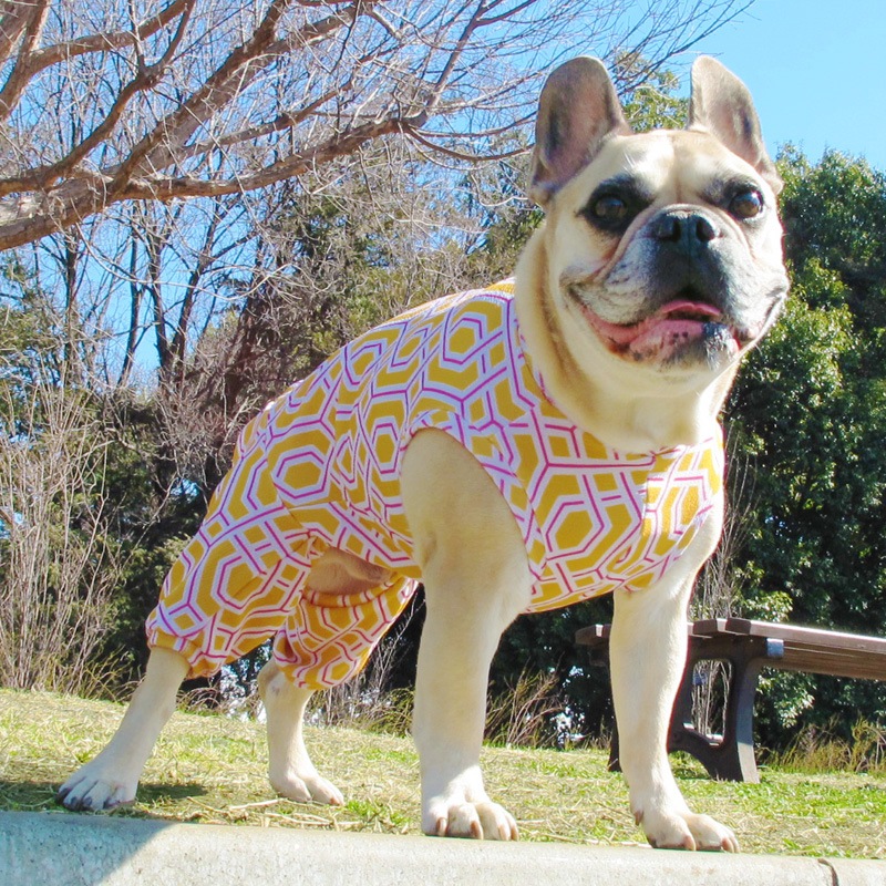 ��å��祤�ƤĤʤ��ڲƤĤʤ�2��or�ƤĤʤ�1���T�����(����)1��ϥ᡼���زġ�