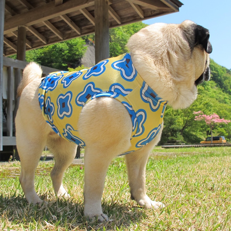 �ͤ��դߤ����ʥץ��ȥ��󥯥ȥåס�T�����2��or���󥯥ȥå�1���T�����1��ϥ᡼���زġ�