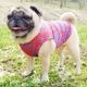 ����Υ֥롼���������󥯥ȥåס�T�����2��or���󥯥ȥå�1���T�����1��ϥ᡼���زġ�