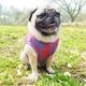 ����Υ֥롼���������󥯥ȥåס�T�����2��or���󥯥ȥå�1���T�����1��ϥ᡼���زġ�