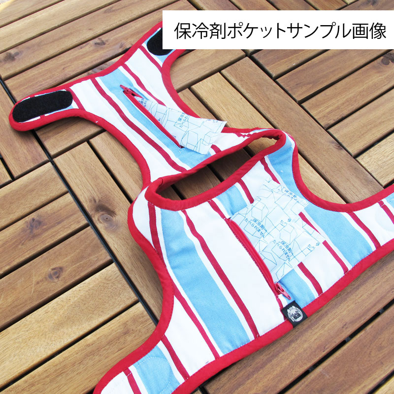 6/21 21�������١�������٥��ȡ����̥���󥸡ˡ�1��Τߥ᡼���زġ�