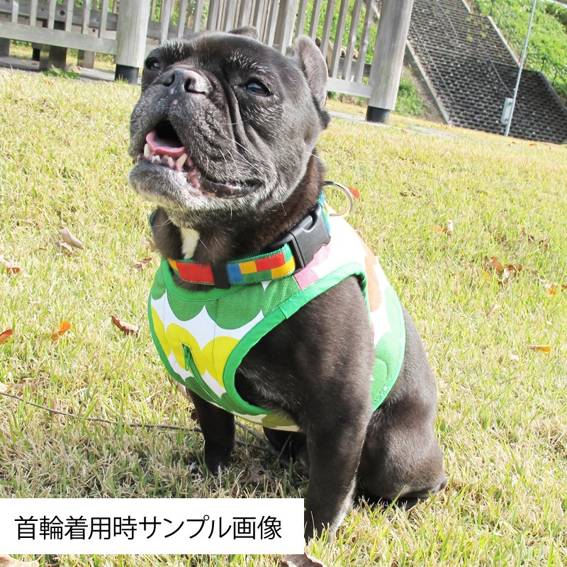 6/21 21�������١�������٥��ȡ����̥���󥸡ˡ�1��Τߥ᡼���زġ�