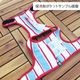 6/21 21�������١�������٥��ȡ����̥���󥸡ˡ�1��Τߥ᡼���زġ�