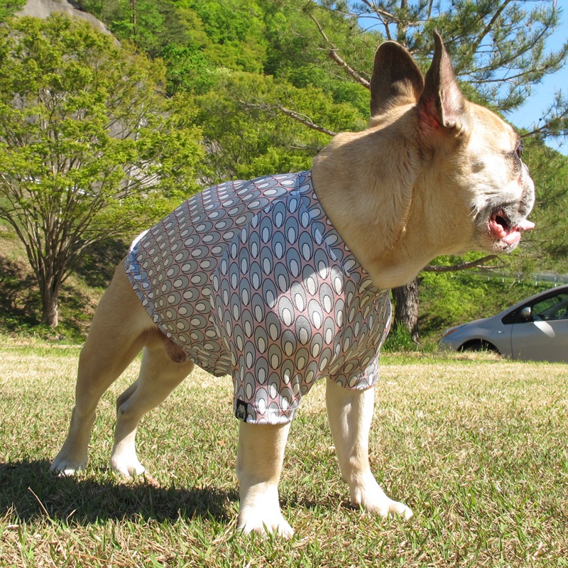 �Ĥ�XL�������Τߡ�ø���ۿ��⥹�ƥ��ʤΤ�T����ġ�T�����2��or���󥯥ȥå�1���T�����1��ϥ᡼���زġ�