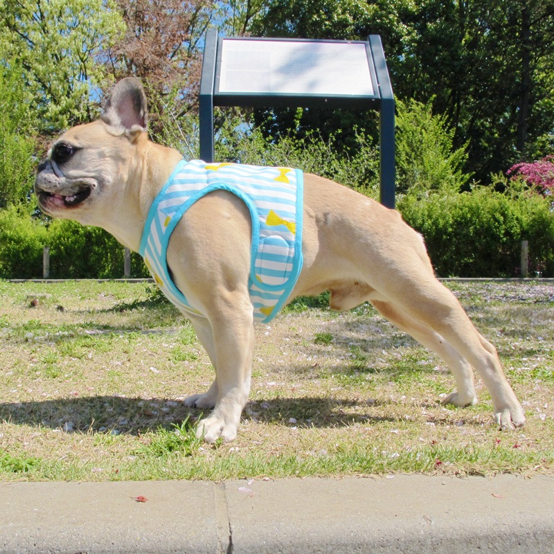 ������٥��ȡʥ��ȥ饤�ץ�ܥ�ˡ�1��Τߥ᡼���زġ�