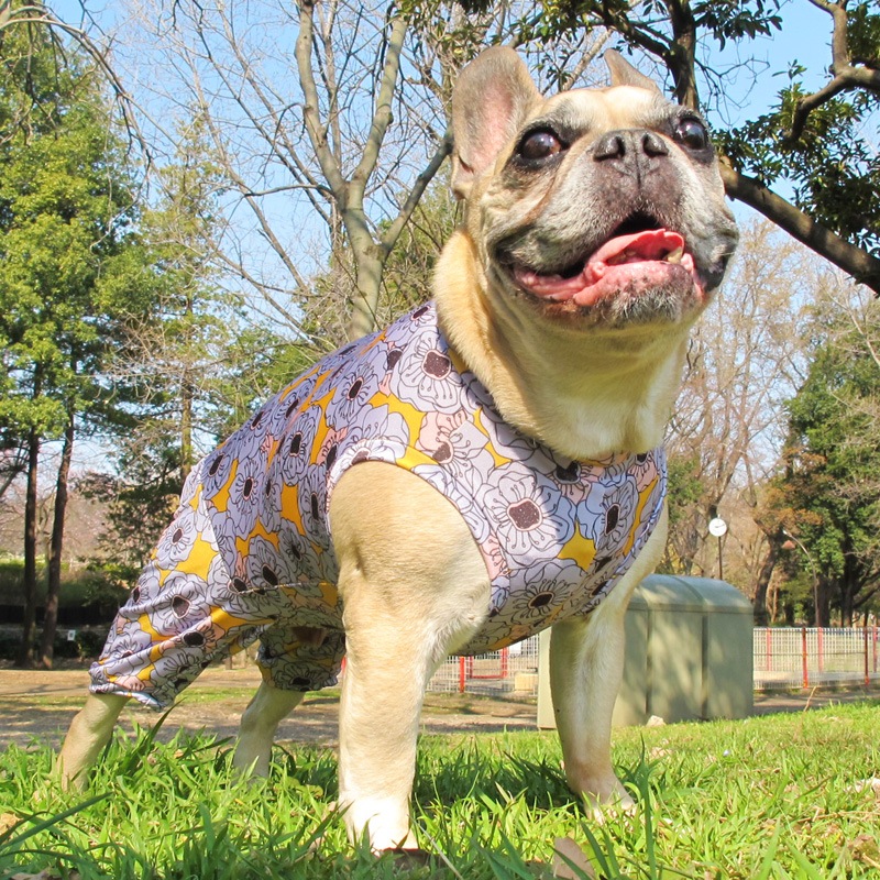 �ݥԡ��ץ��ȲƤĤʤ��ڲƤĤʤ�2��or�ƤĤʤ�1���T�����(����)1��ϥ᡼���زġ�