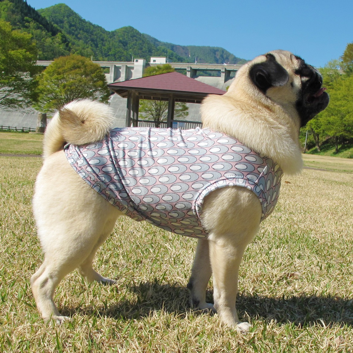 ø���ۿ��⥹�ƥ��ʤΤ西�󥯥ȥåס�T�����2��or���󥯥ȥå�1���T�����1��ϥ᡼���زġ�