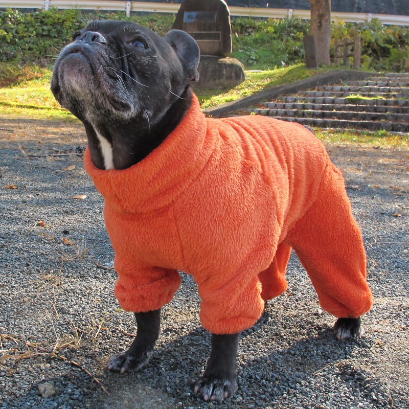 ������ۤĤʤ��ʳ��ˡڥ᡼�����Բġ�