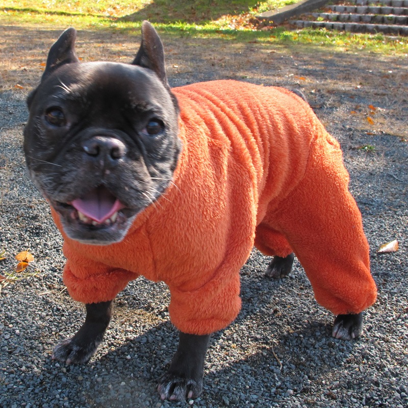 ������ۤĤʤ��ʳ��ˡڥ᡼�����Բġ�