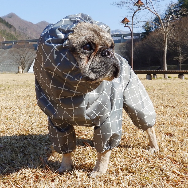 �ץ饹�ץ饹�쥤�󥳡��ȡ����̡��ɥա��ɡ�ñ�ʥ᡼���ز�/���̡��ɥա��ɤȤ�Ʊ���᡼���زġ�