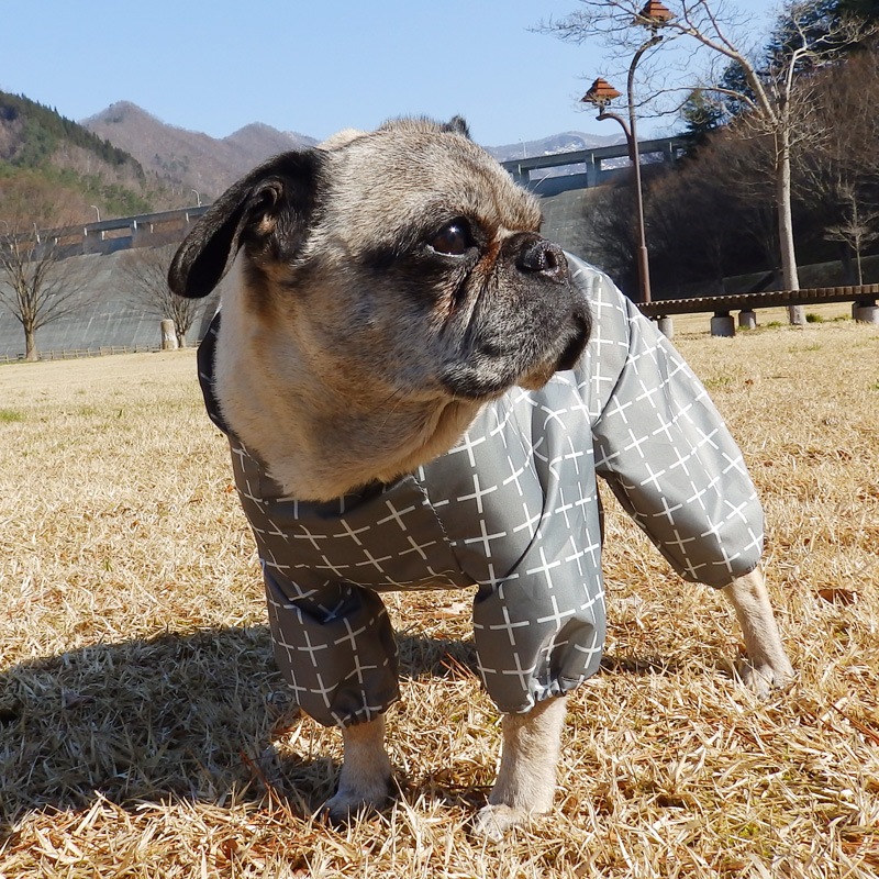 �ץ饹�ץ饹�쥤�󥳡��ȡ����̡��ɥա��ɡ�ñ�ʥ᡼���ز�/���̡��ɥա��ɤȤ�Ʊ���᡼���زġ�