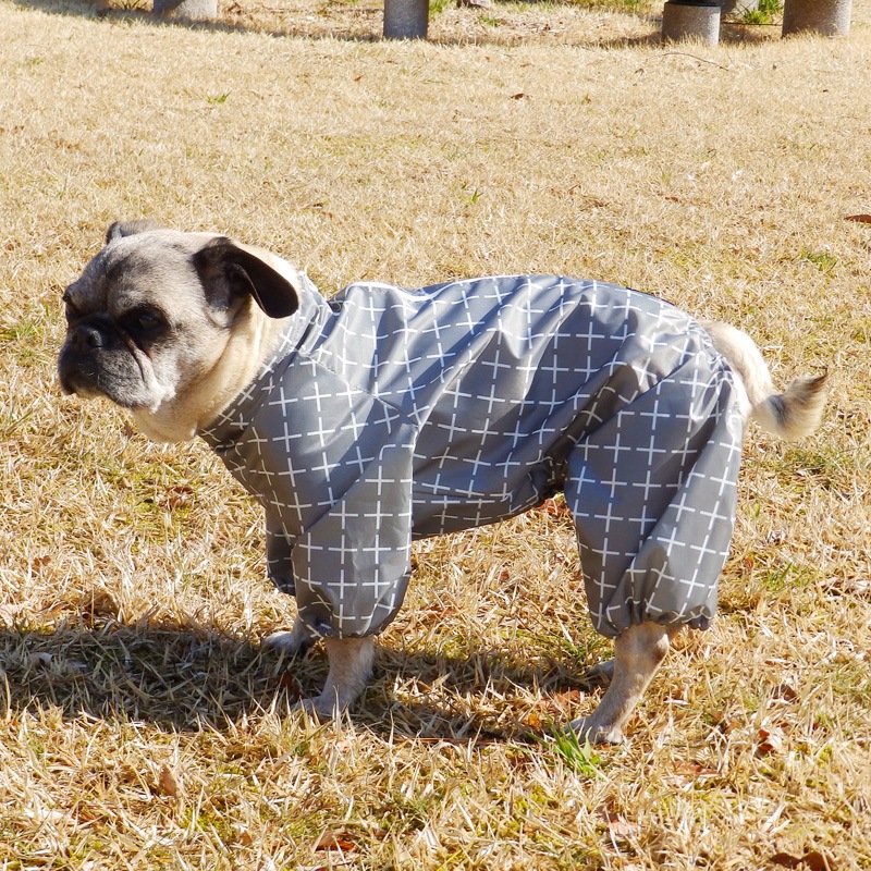 �ץ饹�ץ饹�쥤�󥳡��ȡ����̡��ɥա��ɡ�ñ�ʥ᡼���ز�/���̡��ɥա��ɤȤ�Ʊ���᡼���زġ�