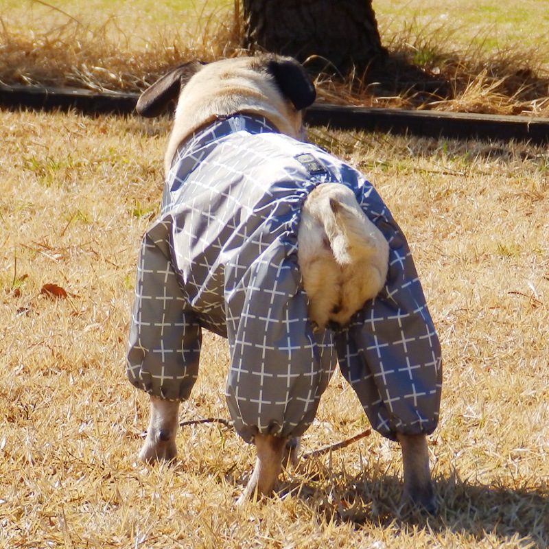 �ץ饹�ץ饹�쥤�󥳡��ȡ����̡��ɥա��ɡ�ñ�ʥ᡼���ز�/���̡��ɥա��ɤȤ�Ʊ���᡼���زġ�