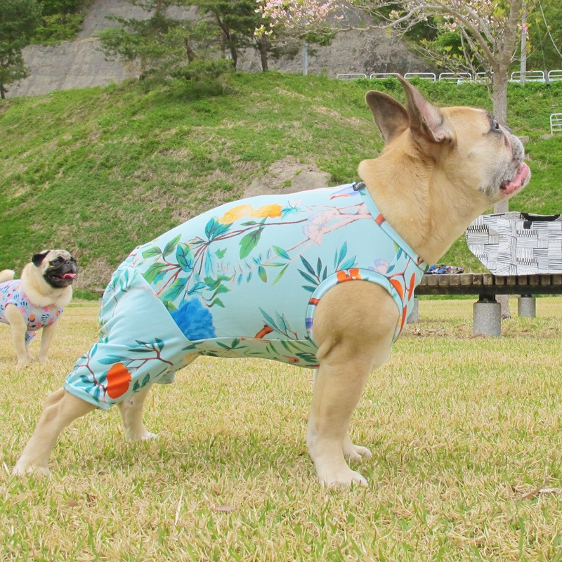 ꥨ󥿥ʥܥ˥ץȲƤĤʤڲƤĤʤ2orƤĤʤ1T()1ϥ᡼زġ