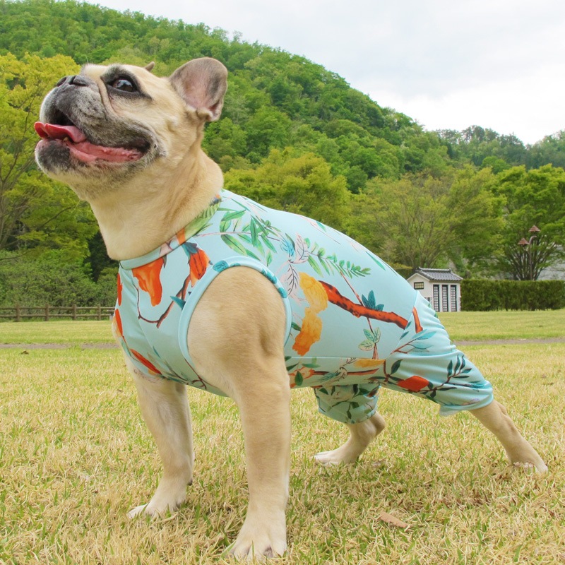 ꥨ󥿥ʥܥ˥ץȲƤĤʤڲƤĤʤ2orƤĤʤ1T()1ϥ᡼زġ