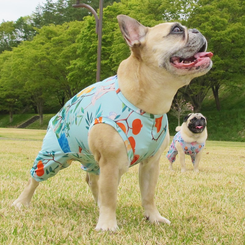 ꥨ󥿥ʥܥ˥ץȲƤĤʤڲƤĤʤ2orƤĤʤ1T()1ϥ᡼زġ