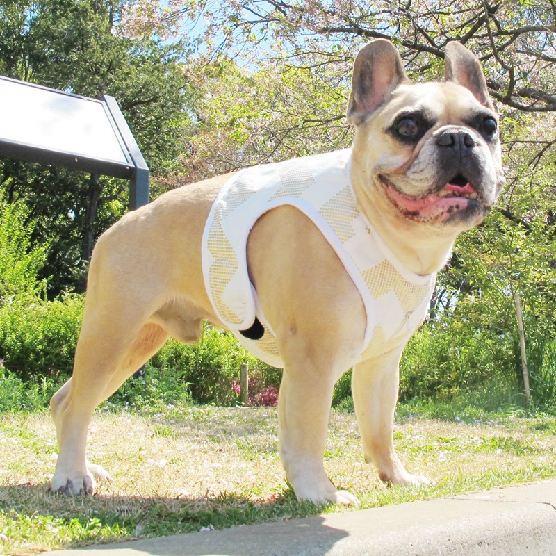 ٥ȡʥɥ饭ˡ1Τߥ᡼زġ