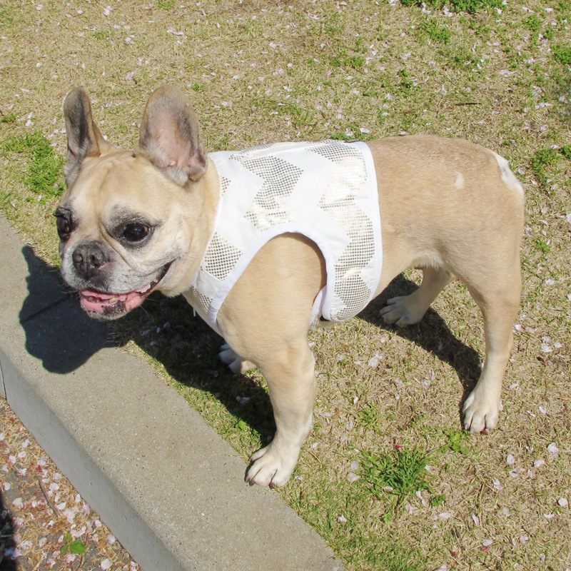 ٥ȡʥɥ饭ˡ1Τߥ᡼زġ