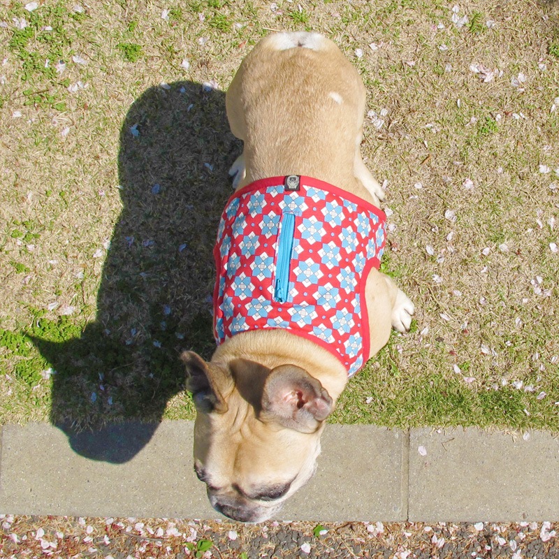 ٥ȡ֥٥ˡ1Τߥ᡼زġ