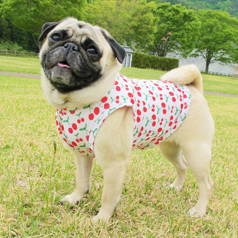 �������ܥ��󥯥ȥåס�T�����2��or���󥯥ȥå�1���T�����1��ϥ᡼���زġ�