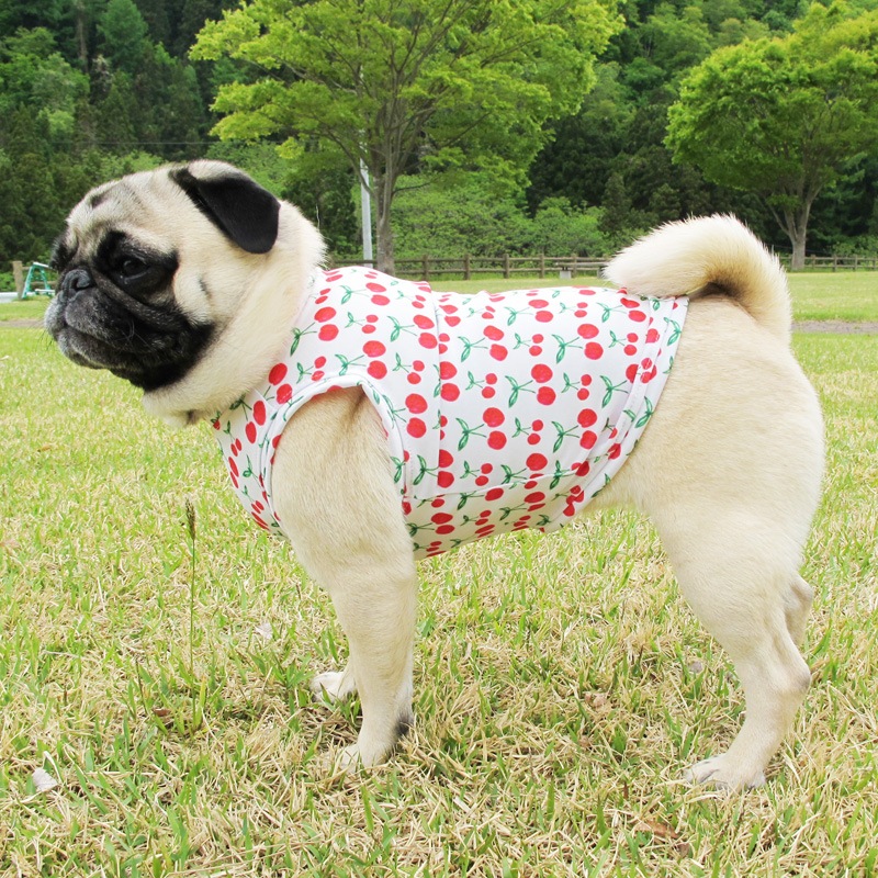 �������ܥ��󥯥ȥåס�T�����2��or���󥯥ȥå�1���T�����1��ϥ᡼���زġ�