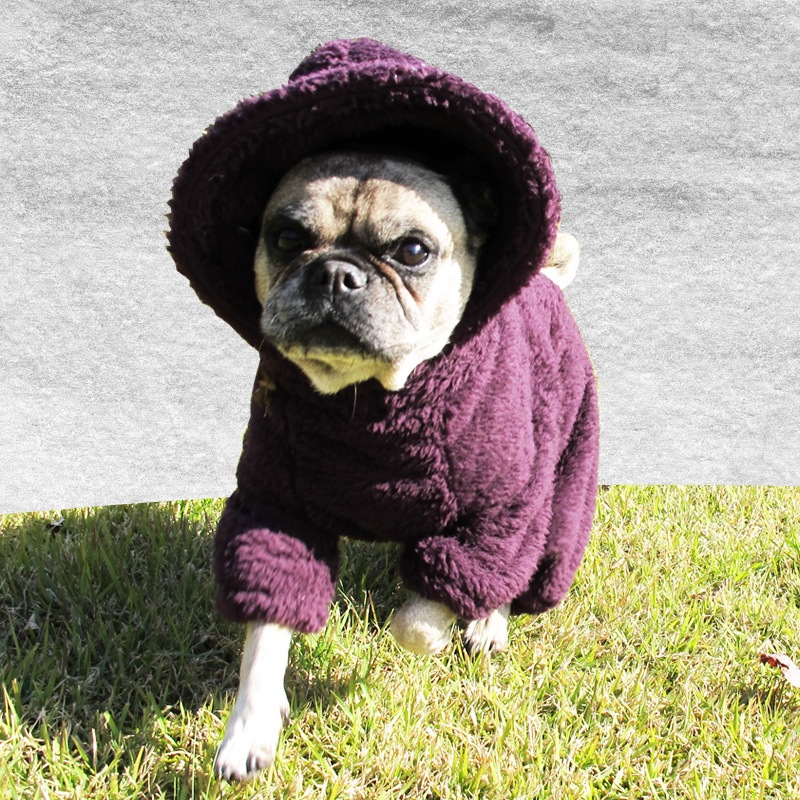 ������ۥա����դĤʤ��ʥ������ѡ��ץ�ˡڥ᡼�����Բġ�