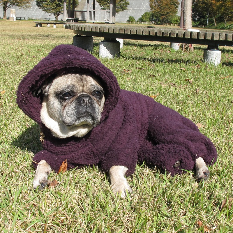 ������ۥա����դĤʤ��ʥ������ѡ��ץ�ˡڥ᡼�����Բġ�