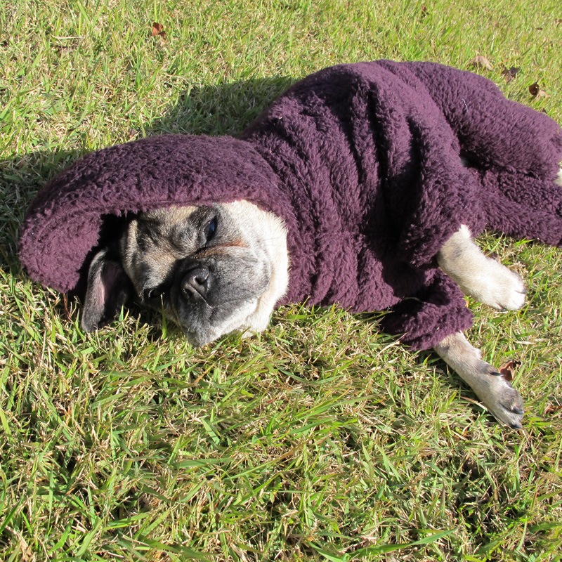 ������ۥա����դĤʤ��ʥ������ѡ��ץ�ˡڥ᡼�����Բġ�