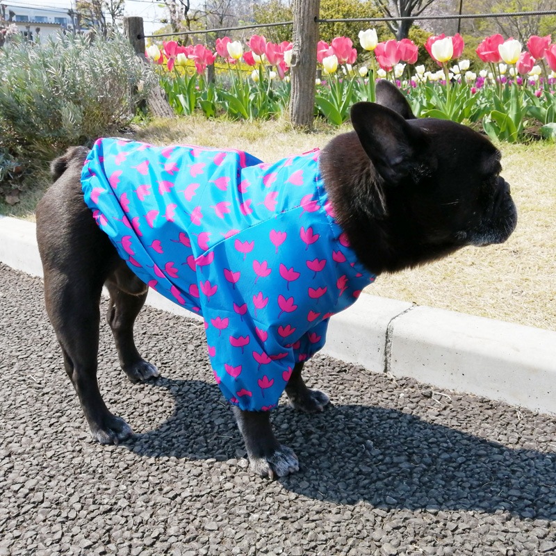 եӤΤߥ쥤󥳡ȡ̡ɥաɡñʥ᡼ز/̡ɥաɤȤƱ᡼زġ