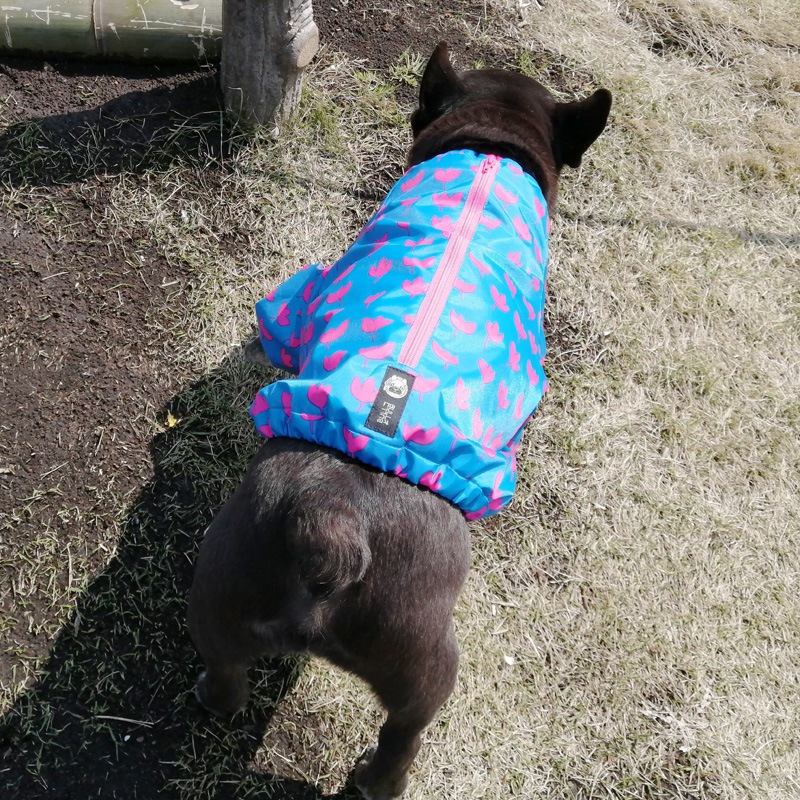 եӤΤߥ쥤󥳡ȡ̡ɥաɡñʥ᡼ز/̡ɥաɤȤƱ᡼زġ