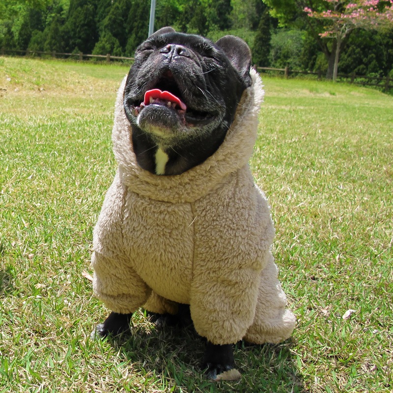 ������ۥա����դĤʤ��ʥ١�����ˡڥ᡼�����Բġ�