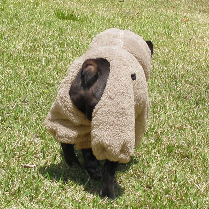 ������ۥա����դĤʤ��ʥ١�����ˡڥ᡼�����Բġ�