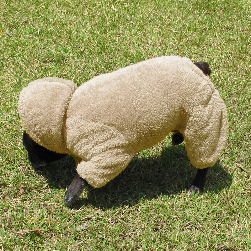 ������ۥա����դĤʤ��ʥ١�����ˡڥ᡼�����Բġ�