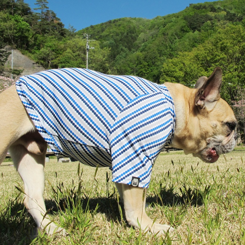 �ɥåȤǼФ�ܡ�����T����ġ�T�����2��or���󥯥ȥå�1���T�����1��ϥ᡼���زġ�