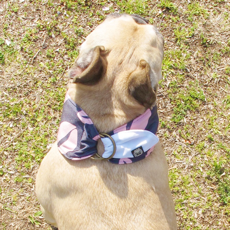 ������Х���ʡʥ�åסˡڥ᡼���زġ�