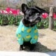 �Ĥ�S�������Τߡ��������ӤΤߥ쥤�󥳡��ȡ����̡��ɥա��ɡ�ñ�ʥ᡼���ز�/���̡��ɥա��ɤȤ�Ʊ���᡼���زġ�