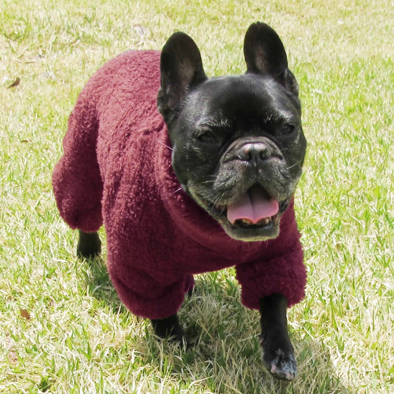 ������ۤĤʤ��ʥ�������åɡˡڥ᡼�����Բġ�