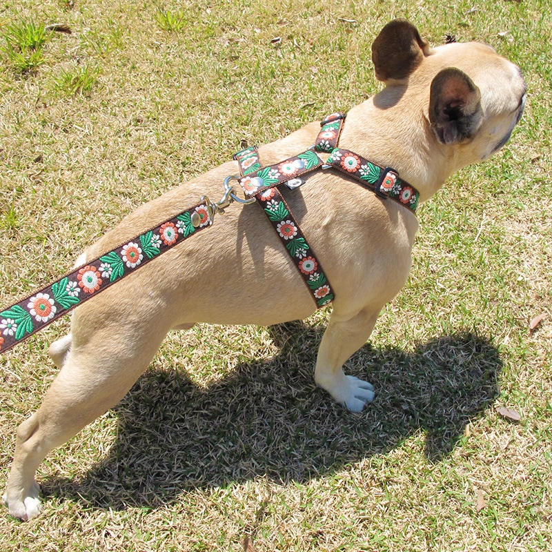 �����١����㥫���ɥ�ܥ�/�������꡼�ɡ�ñ�ʥ᡼���ز�/�ϡ��ͥ������ؤȤΥ᡼����Ʊ���ġ�