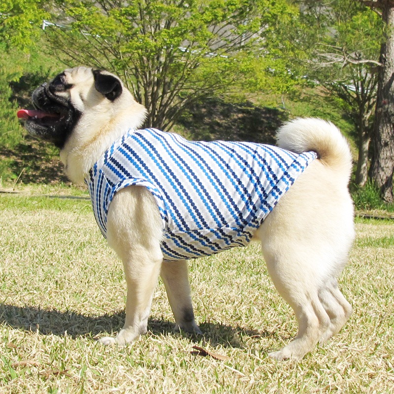 �Ĥ�S�������Τߡ��ɥåȤǼФ�ܡ��������󥯥ȥåס�T�����2��or���󥯥ȥå�1���T�����1��ϥ᡼���زġ�